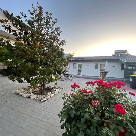 Dekor Hotell Costinesti Exteriör bild